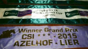 Yuri's trophies & ribbons